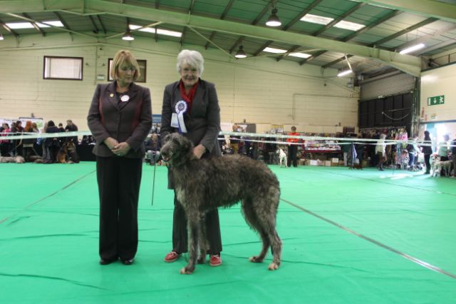 Best Puppy Luton 2014